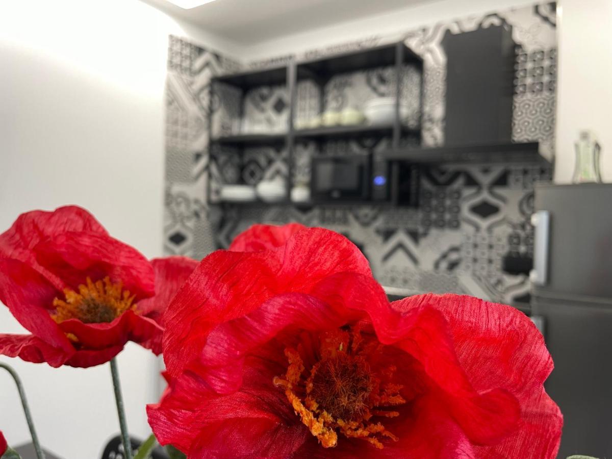 شقة La Casa Di Brando - Bilocale 1 Ancona كاميرانو المظهر الخارجي الصورة